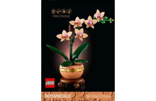 10343 LEGO Botonicals Mini Orchidee